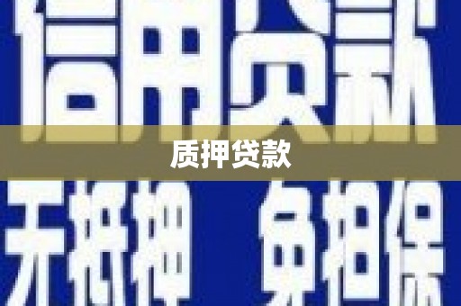 户县质押贷款