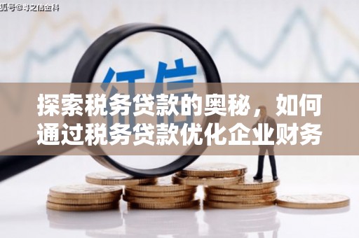 户县探索税务贷款的奥秘，如何通过税务贷款优化企业财务