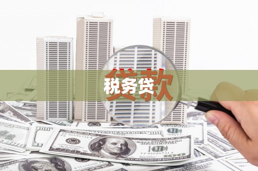 户县税务贷