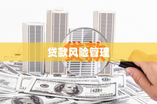 户县贷款风险管理