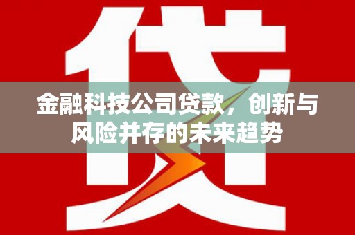 户县金融科技公司贷款，创新与风险并存的未来趋势