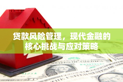 户县贷款风险管理，现代金融的核心挑战与应对策略