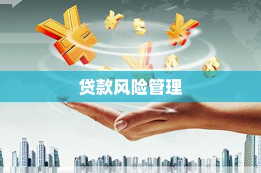 户县贷款风险管理