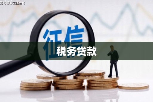 户县税务贷款