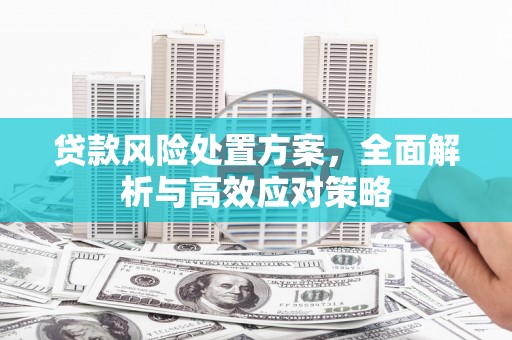 户县贷款风险处置方案，全面解析与高效应对策略