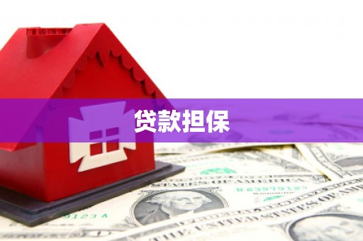 户县贷款担保