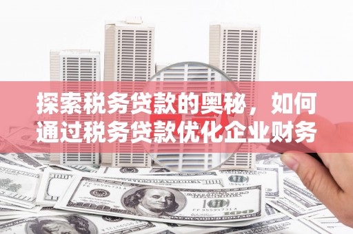 户县探索税务贷款的奥秘，如何通过税务贷款优化企业财务