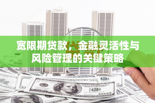 户县宽限期贷款，金融灵活性与风险管理的关键策略