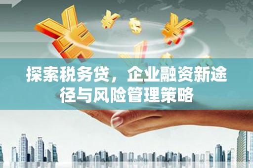 户县探索税务贷，企业融资新途径与风险管理策略