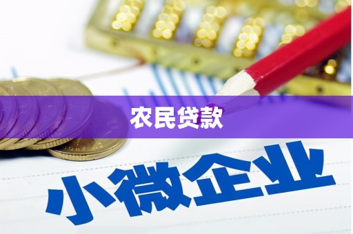 户县农民贷款