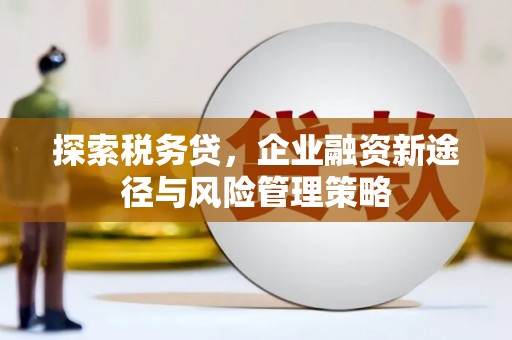 户县探索税务贷，企业融资新途径与风险管理策略