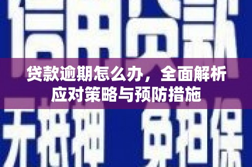 户县贷款逾期怎么办，全面解析应对策略与预防措施