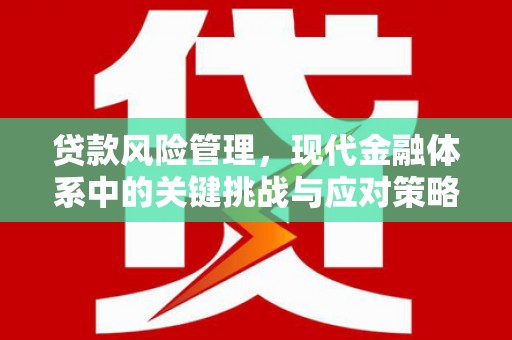 户县贷款风险管理，现代金融体系中的关键挑战与应对策略