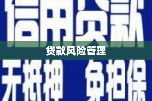 户县贷款风险管理