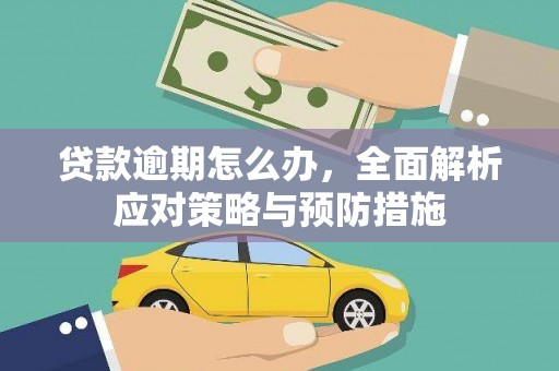 户县贷款逾期怎么办，全面解析应对策略与预防措施