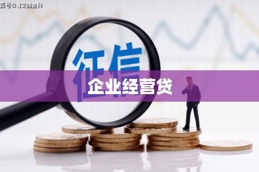 户县企业经营贷