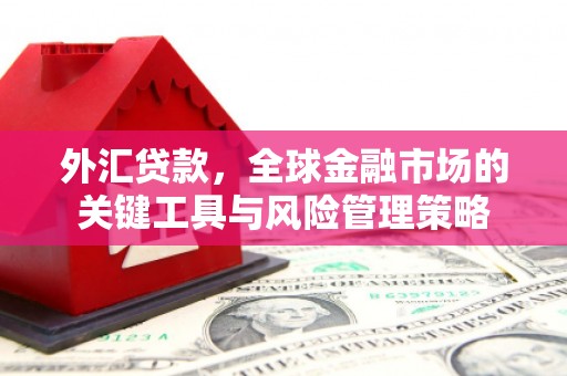 户县外汇贷款，全球金融市场的关键工具与风险管理策略