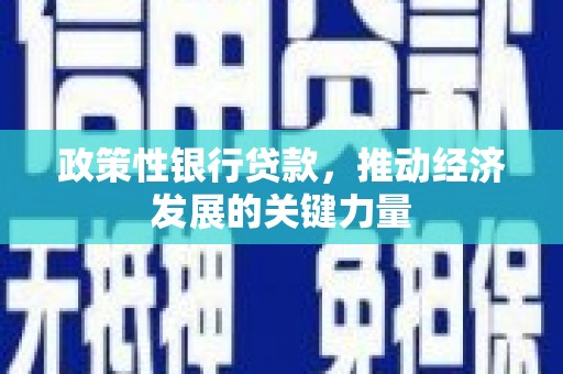 户县政策性银行贷款，推动经济发展的关键力量