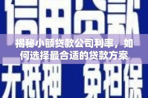 户县揭秘小额贷款公司利率，如何选择最合适的贷款方案