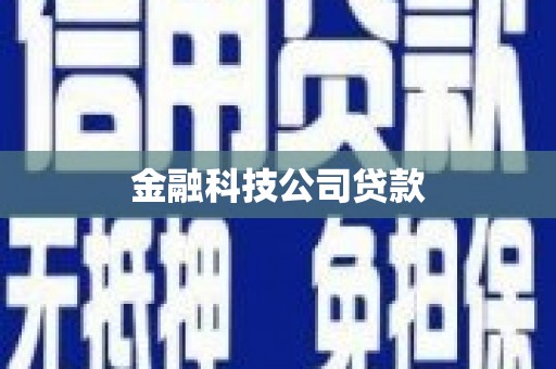 户县金融科技公司贷款