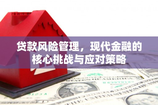 户县贷款风险管理，现代金融的核心挑战与应对策略