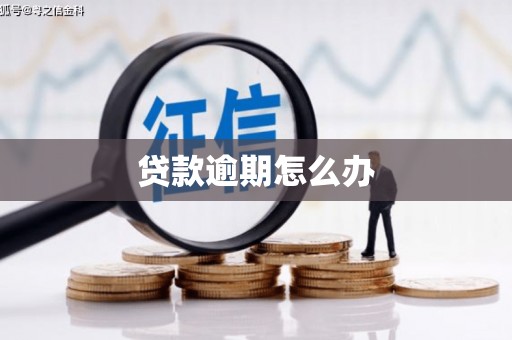 户县贷款逾期怎么办