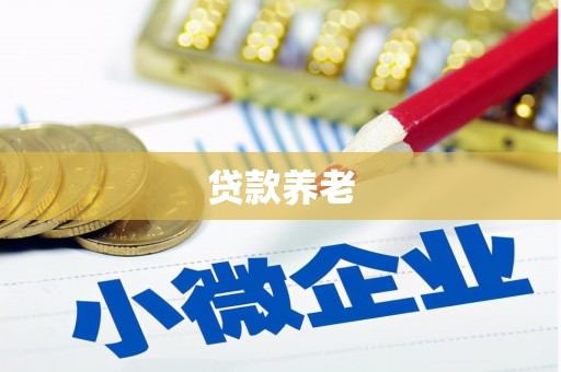 户县贷款养老