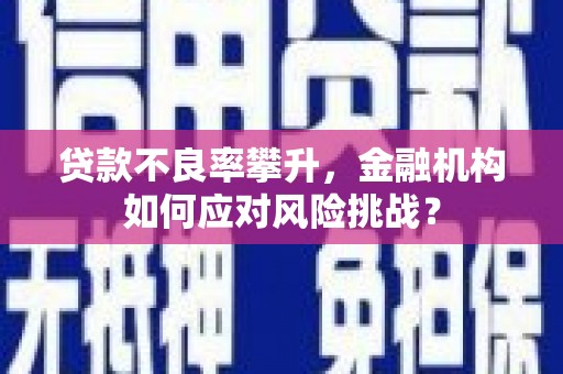 户县贷款不良率攀升，金融机构如何应对风险挑战？