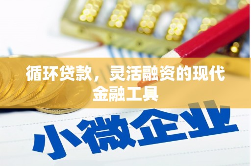 户县循环贷款，灵活融资的现代金融工具