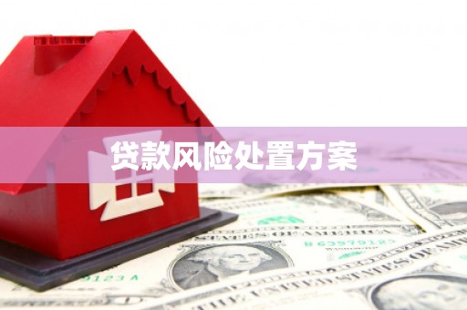 户县贷款风险处置方案