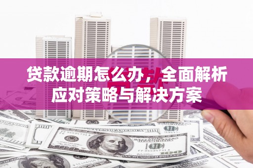 户县贷款逾期怎么办，全面解析应对策略与解决方案
