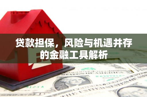 户县贷款担保，风险与机遇并存的金融工具解析
