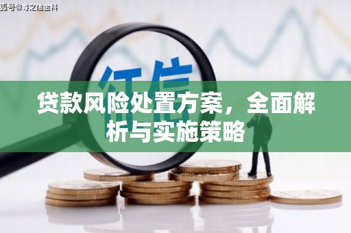 户县贷款风险处置方案，全面解析与实施策略