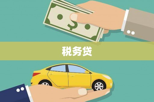 户县税务贷