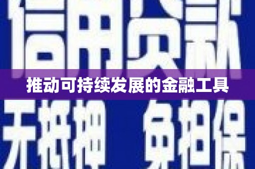 户县推动可持续发展的金融工具