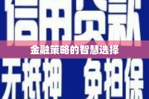 户县金融策略的智慧选择