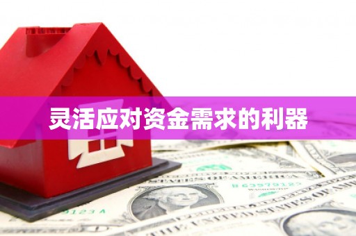 户县灵活应对资金需求的利器