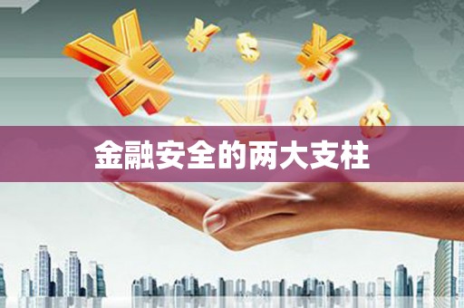 户县金融安全的两大支柱