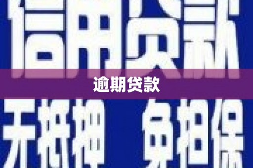 户县逾期贷款