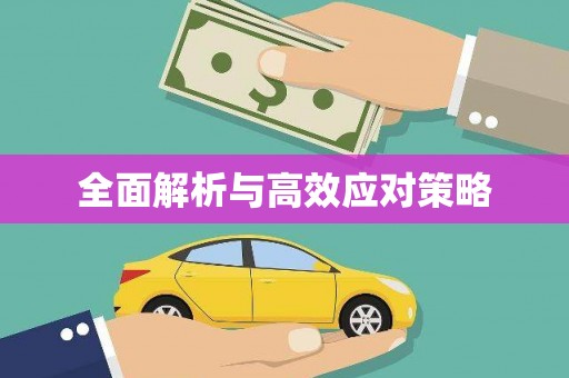户县全面解析与高效应对策略
