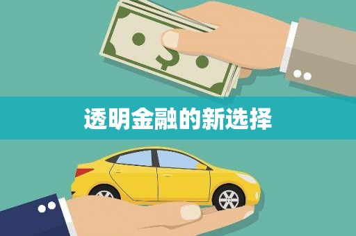 户县透明金融的新选择