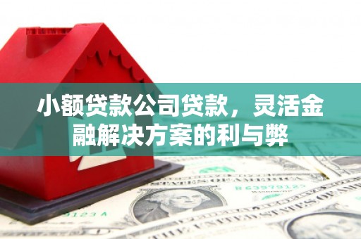 户县小额贷款公司贷款，灵活金融解决方案的利与弊
